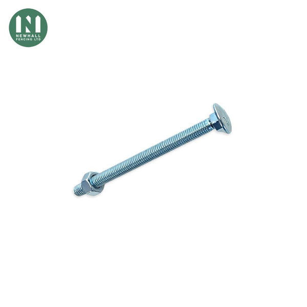 M10 x 130mm cup square bolts with nuts, pack of 10